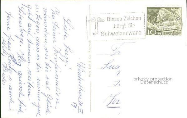 Konfirmation Bibel Weidenkätzchen Schneeglöckchen – Bild 2