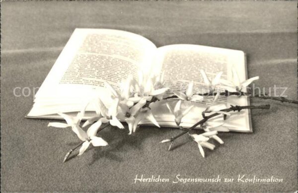 Konfirmation Bibel Forsythienblüten