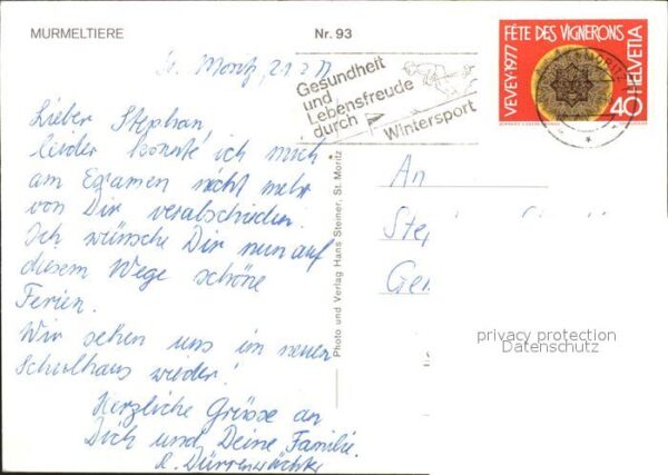 Murmeltier Murmeltiere – Bild 2