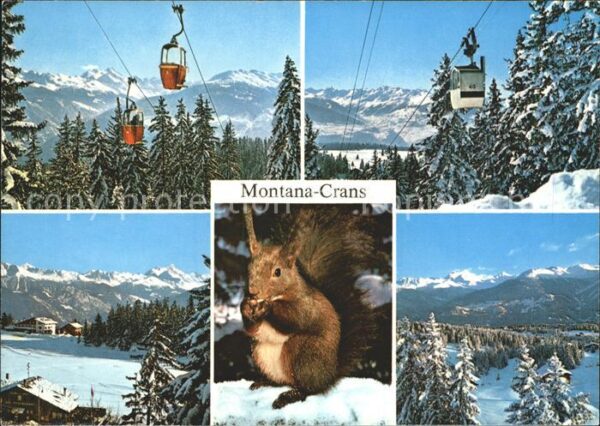 Eichhoernchen Seilbahn Montana-Crans