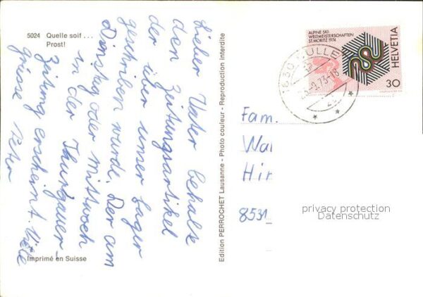 Kuehe – Bild 2