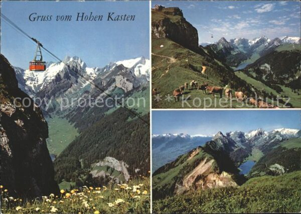 Seilbahn Brülisau-Hoher Kasten Kühe