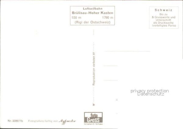 Seilbahn Brülisau-Hoher Kasten Kühe – Bild 2