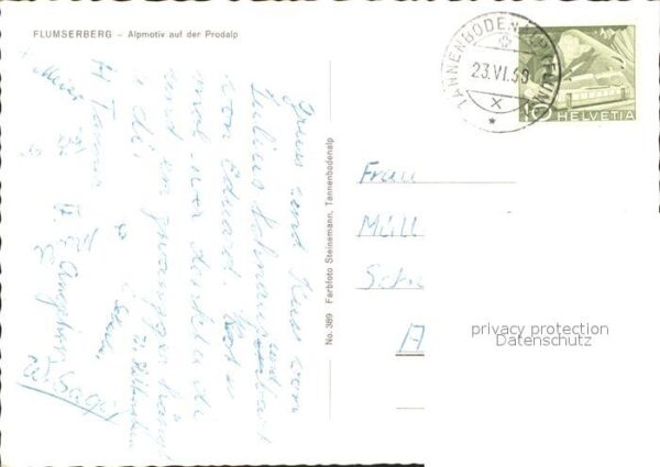 Kuehe Flumserberg Prodalp – Bild 2