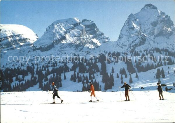 Ski-Langlauf Skiwandern Obertoggenburg