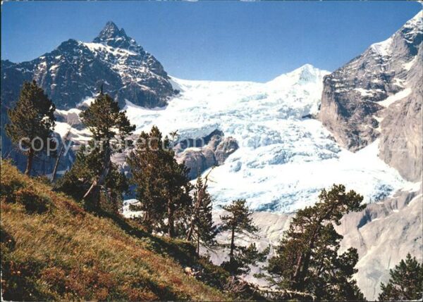 Gletscher Rosenlaui Dossenhorn Rosenhorn