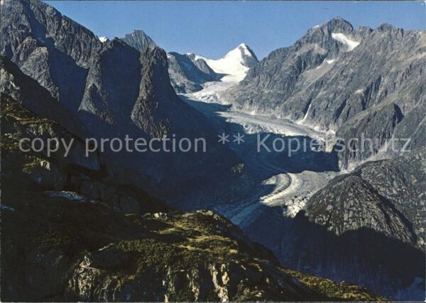 Gletscher Fieschergletscher Finsteraar Rothorn Wa