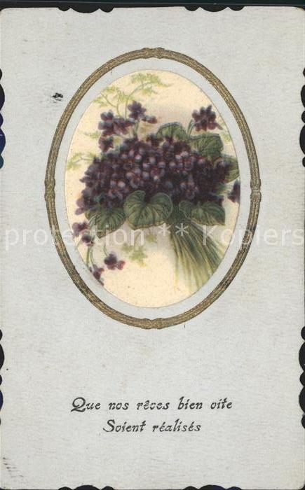 Blumen Veilchen