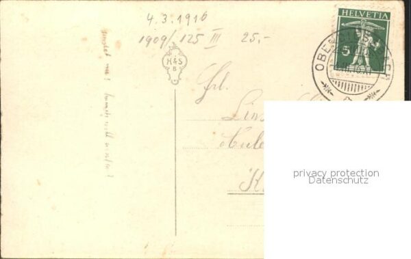 Rosen – Bild 2