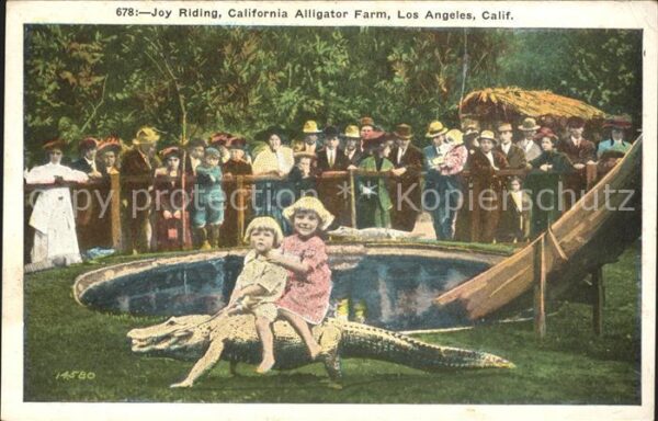 Krokodile Joy riding Kinder California Alligator