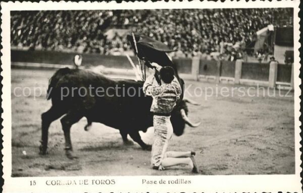 Stierkampf Corrida de Toros Pade de rodillas