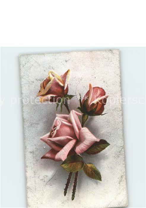 Rosen