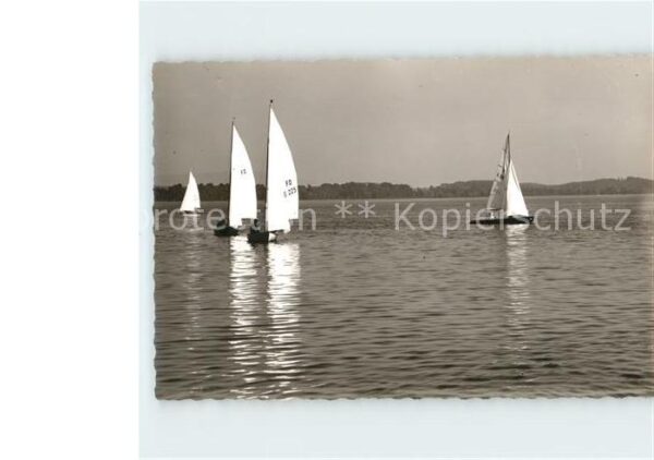 Segeln Segelboote Waging See