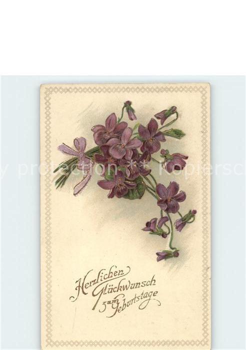 Geburtstag Veilchen Litho