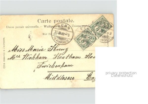 Kuehe Kuhherde – Bild 2