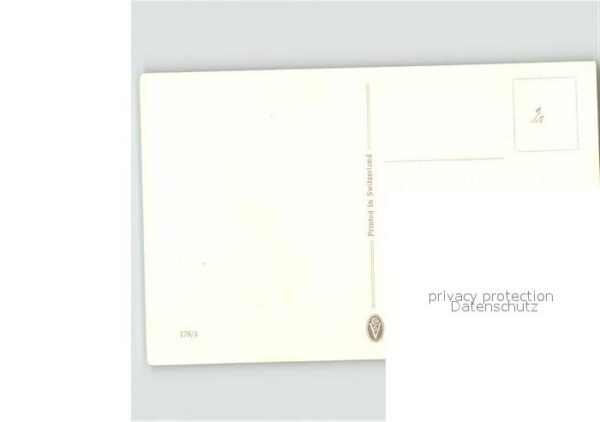 Voegel Specht – Bild 2
