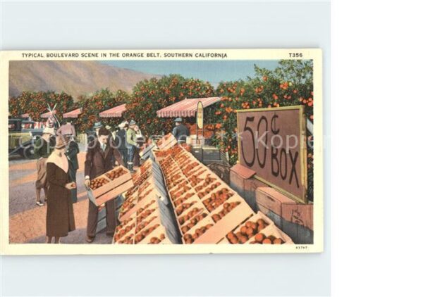 Haendler Orangen Orange Belt California