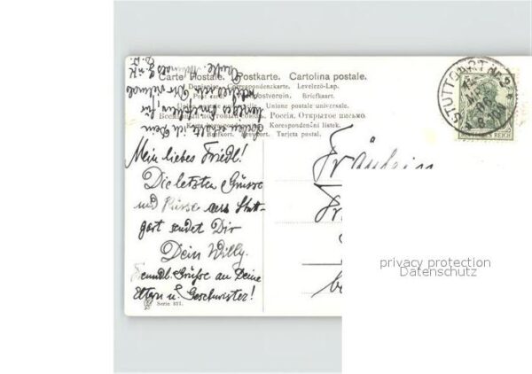 Schivert V. Mann Mandoline Wein – Bild 2