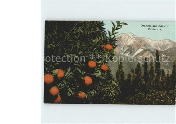 Orangen Oranges Oranges and Snow California