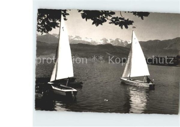 Segelboote Vierwaldstättersee Alpen
