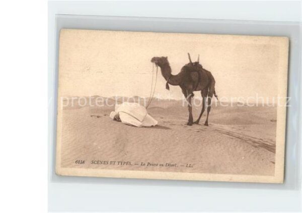 Kamel  Camel Chameau Typen Priere au Desert Scenes et Types