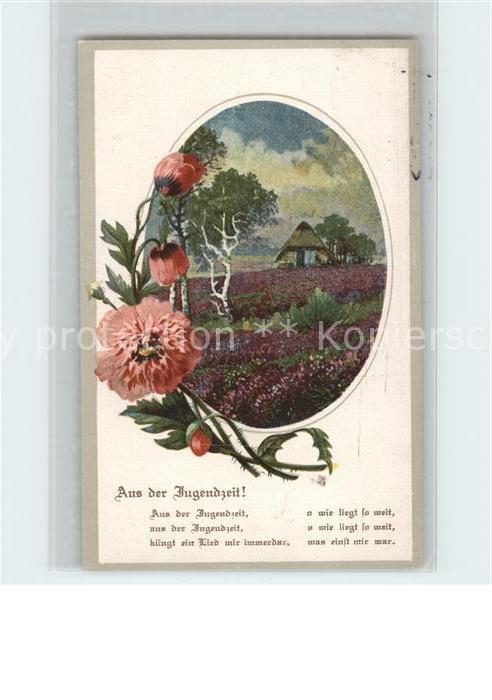 Blumen Mohnblumen Gedicht Aus der Jugendzeit