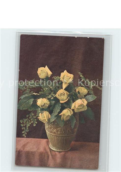 Rosen Gelbe Rosen Vase