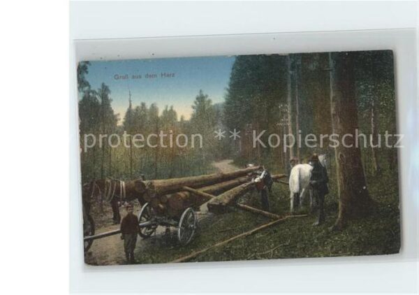Forstwirtschaft Harz Baumtransport