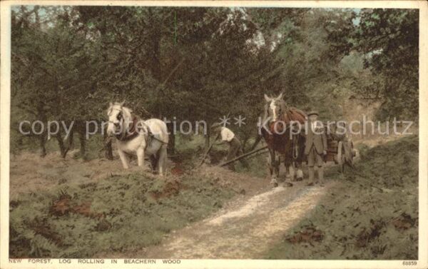 Foersterei New Forest Log Rolling Beachern Wood Pf