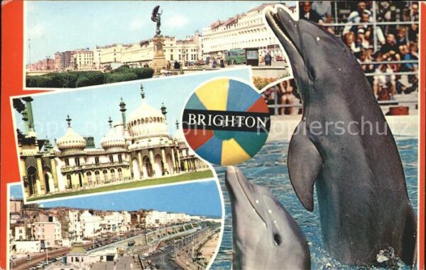 Delfine Delphine Dolphins Dauphins Delfi Brighton