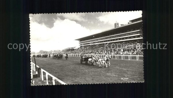 Pferdesport Pferderennen Reitsport Royal Ascot