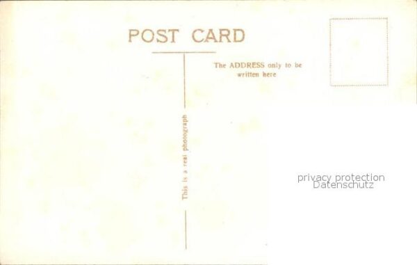 Adel England Majesty King George V. Orden – Bild 2