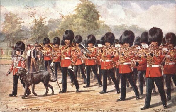 Leibgarde Wache Irish Guards Dog Brian Boru Harry Payne