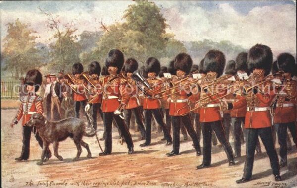 Payne Harry Irish Guards Dog Brian Boru Verlag-Tuck