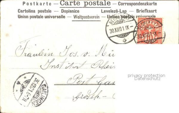 Rosen Boot Kind Litho – Bild 2