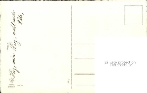 Rosen Photochromie Nr. 4009 – Bild 2