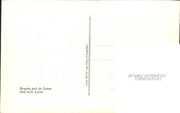 Kuenstlerkarte Anton Mauve Heide the Laren Nr. 31 Scha – Bild 2