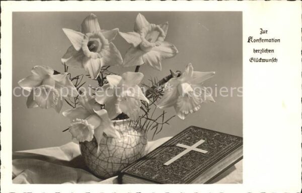 Konfirmation Narzissen Bibel Foto-Amag-Nr. 70107