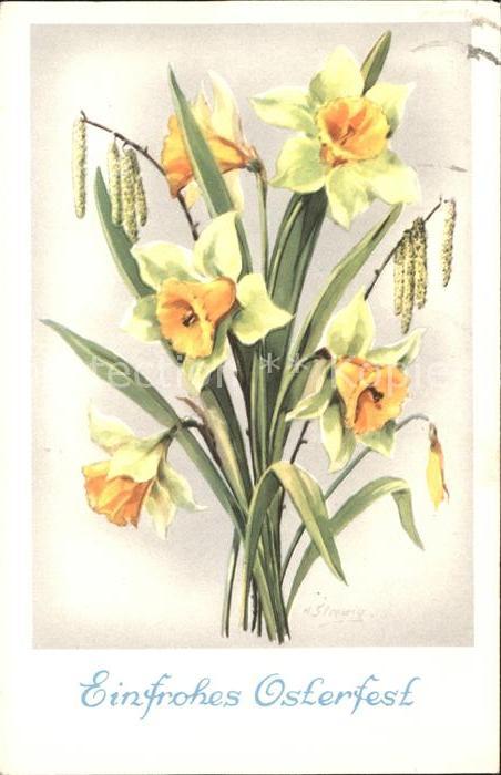 Ostern Easter Paques Narzissen Hasel
