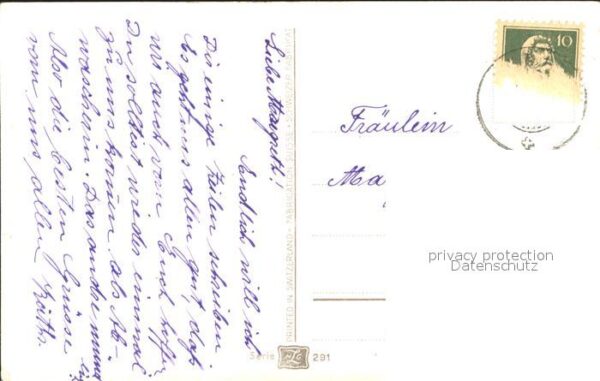 Rosen – Bild 2