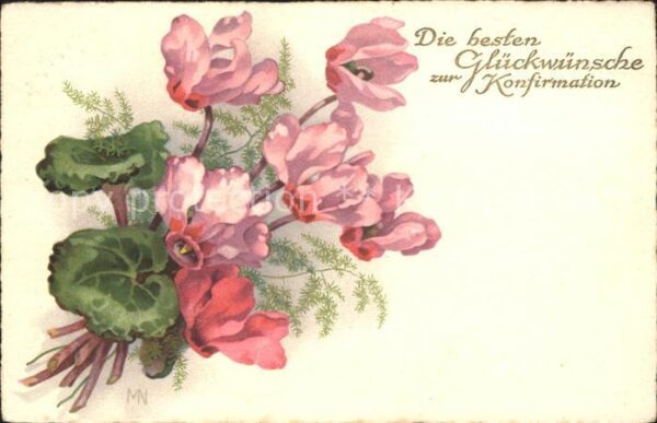 Konfirmation Alpenveilchen Litho