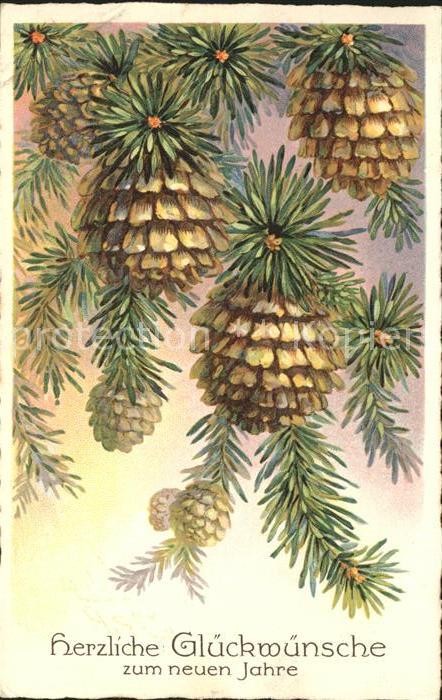 Tannenzapfen Glückwunsch Neujahr Litho