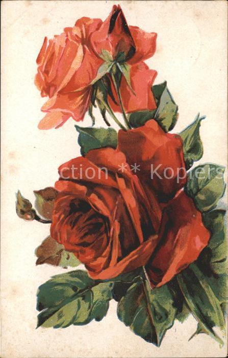 Rosen Litho