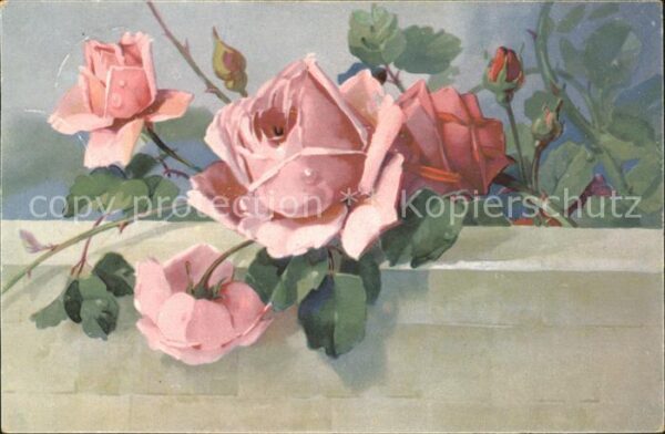 Rosen