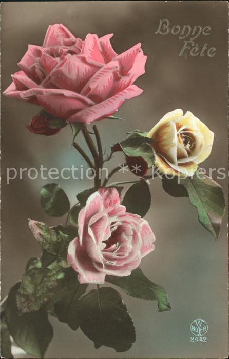 Foto AN Paris (Noyer) Nr. 2442 Rosen Bonne Fete