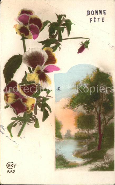 Verlag CEKO Nr. 557 Stiefmütterchen