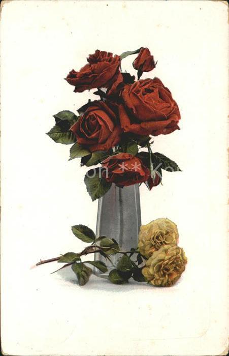 Rosen Vase