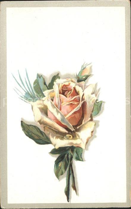 Rosen Litho