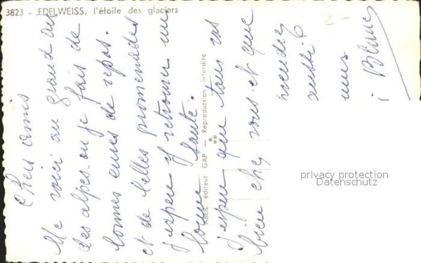 Edelweiss Gletscher – Bild 2