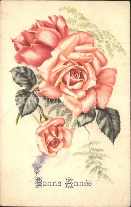 Rosen Neujahr